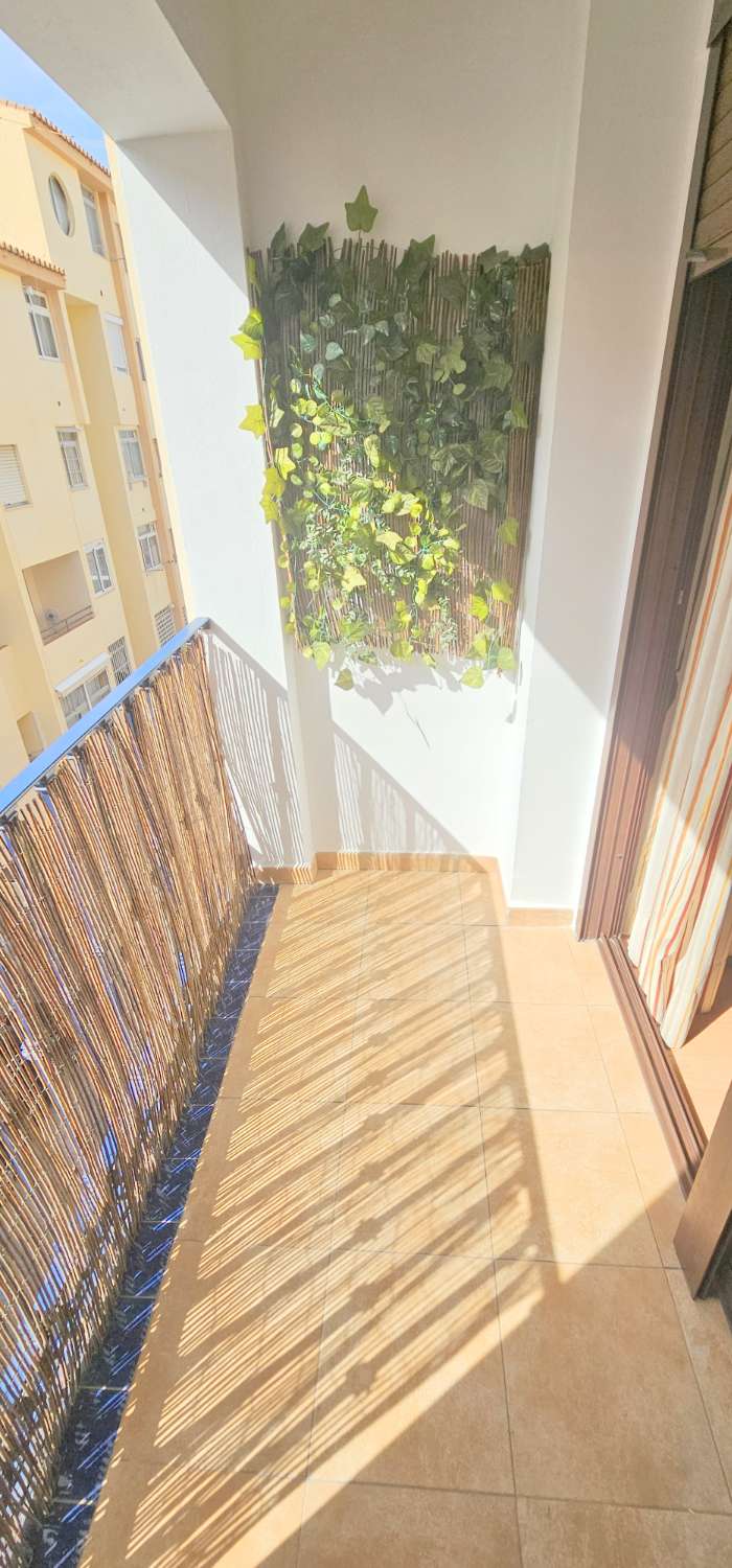 Piso en alquiler en Centro (Torre del Mar)