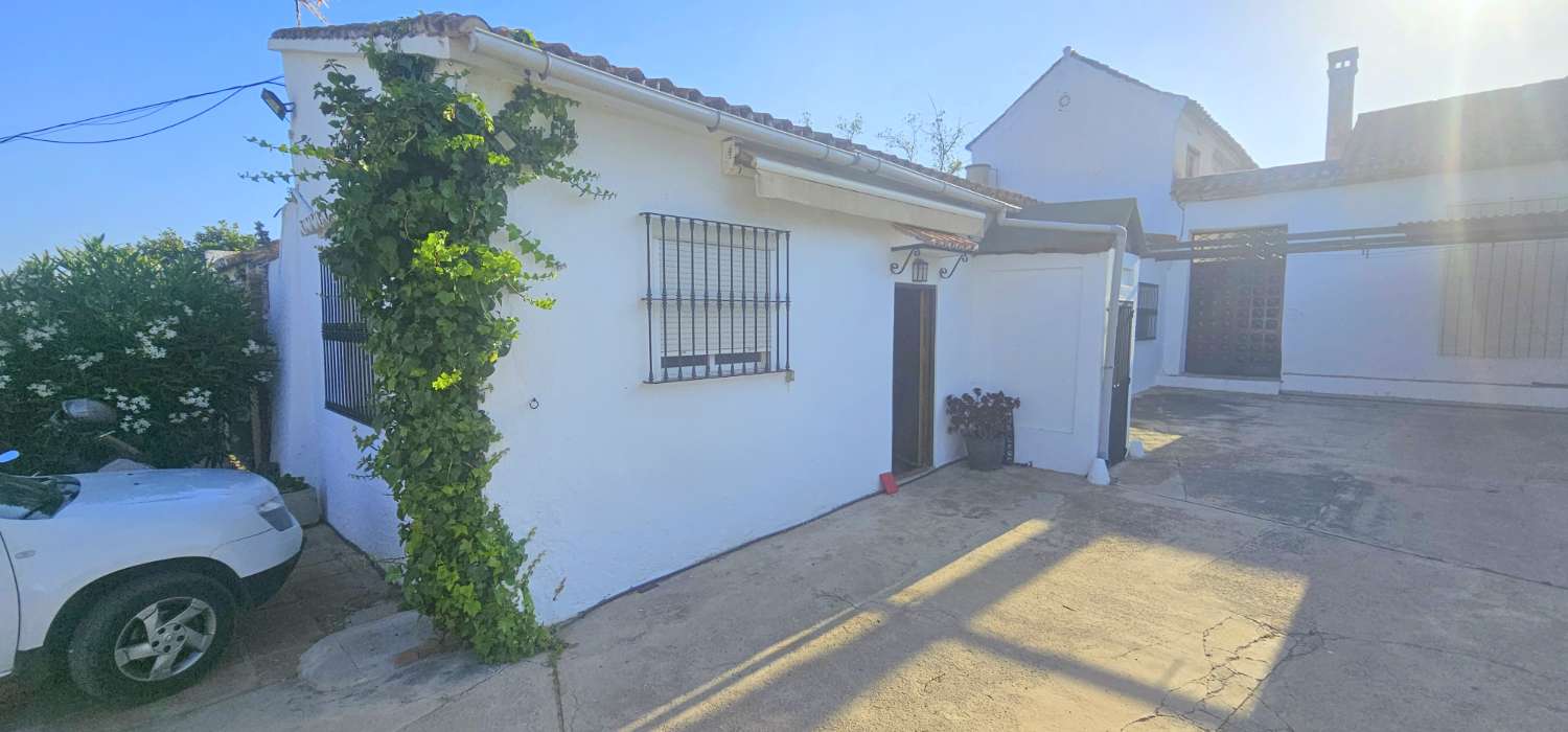Casa en alquiler en Camino Viejo de Málaga (Vélez-Málaga)