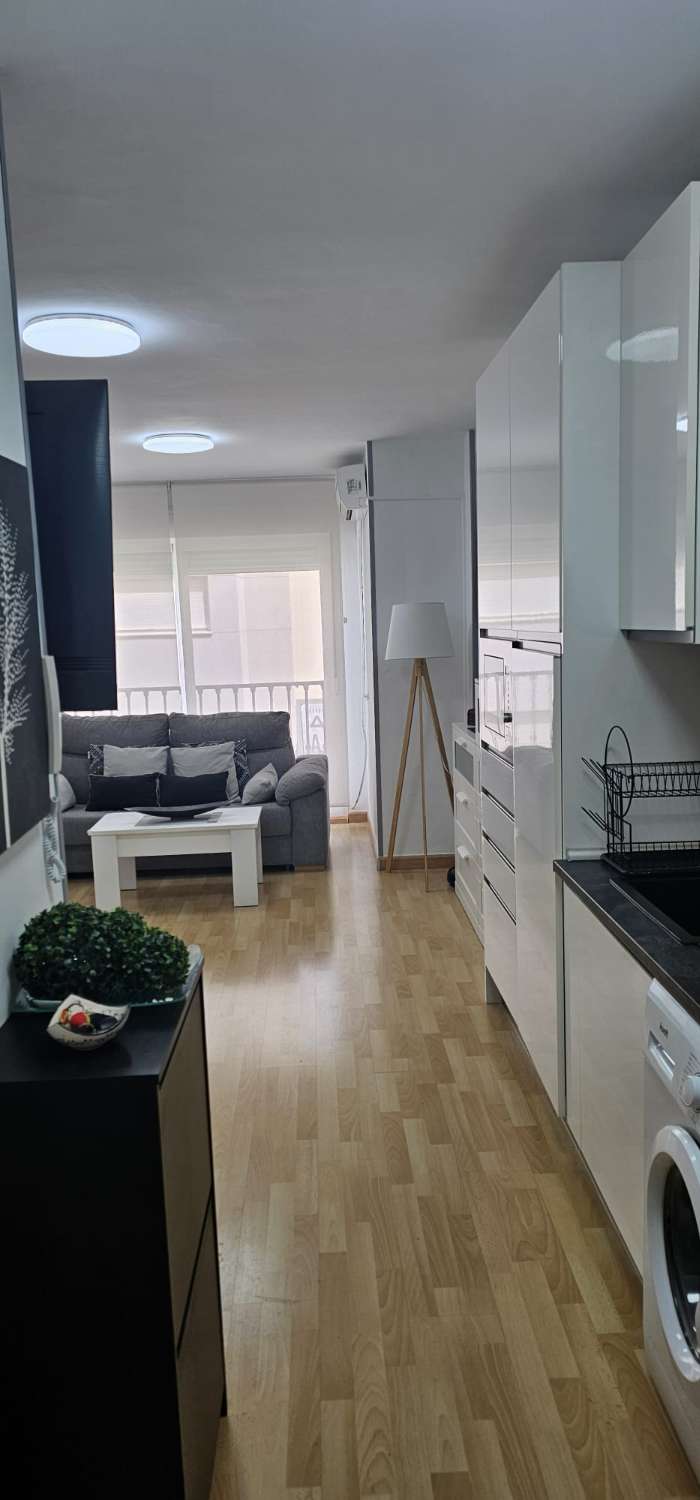 Estudio en venta en Centro (Torre del Mar)