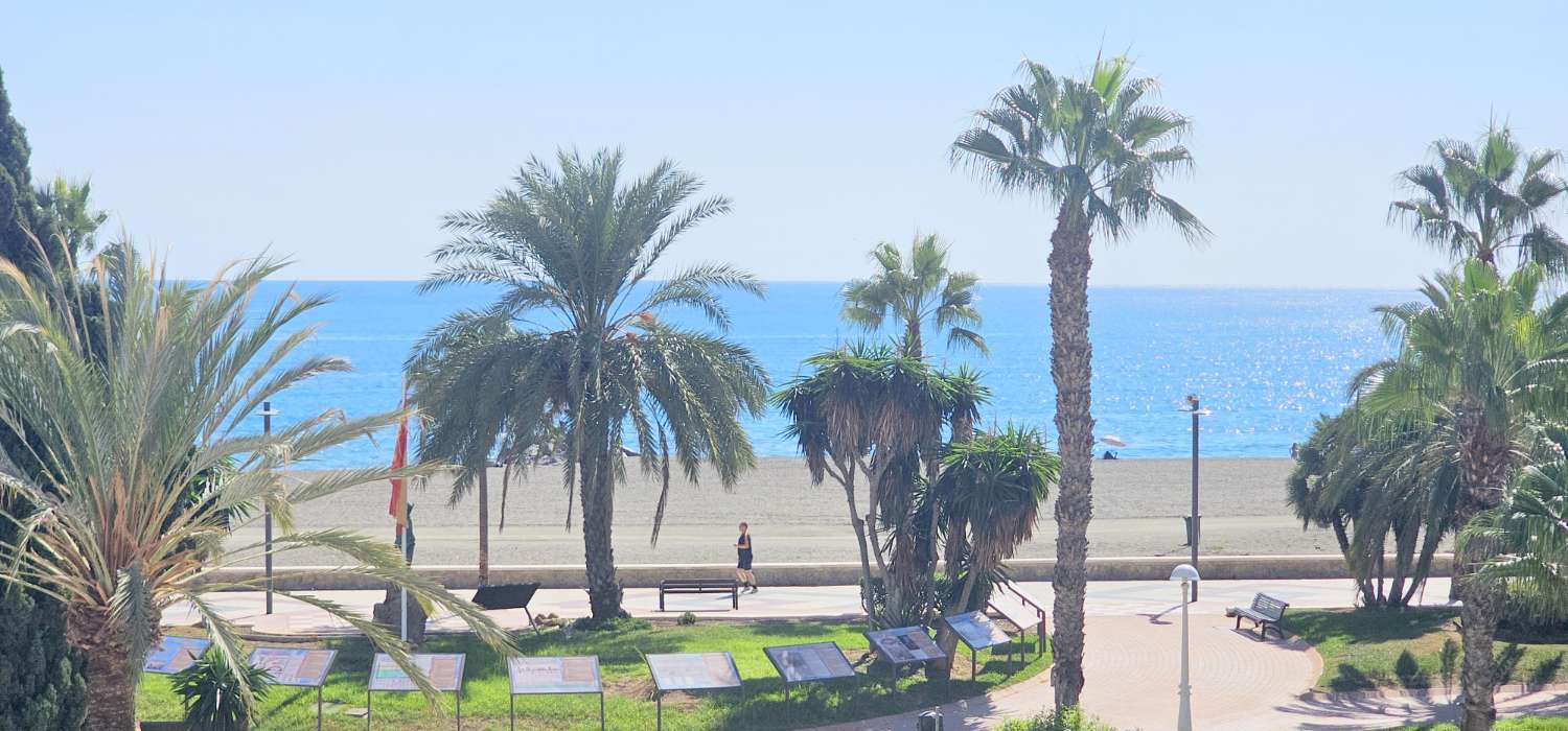 Pis en lloguer in Paseo Marítimo de Levante (Torre del Mar)