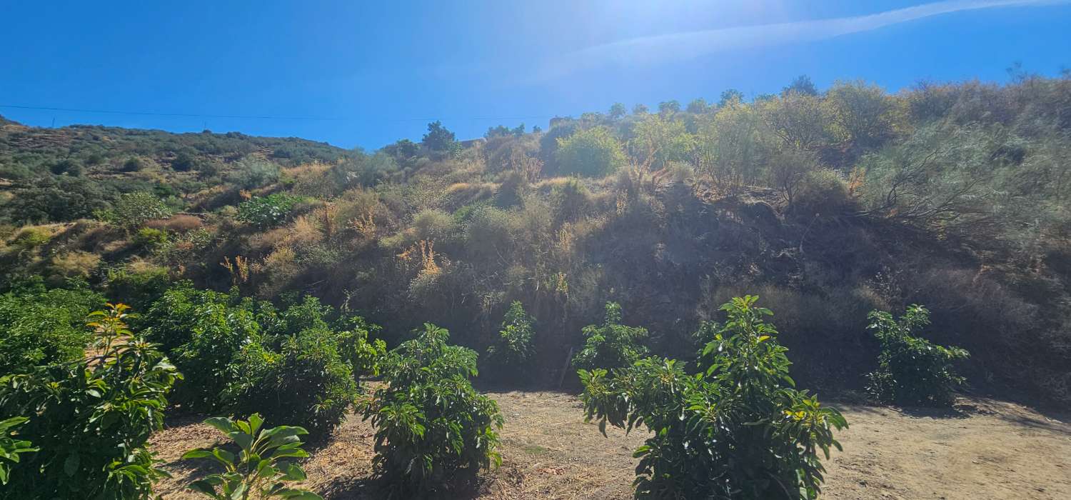Finca en venta en Norte - Barrio del Pilar - El Reñidero (Vélez-Málaga)
