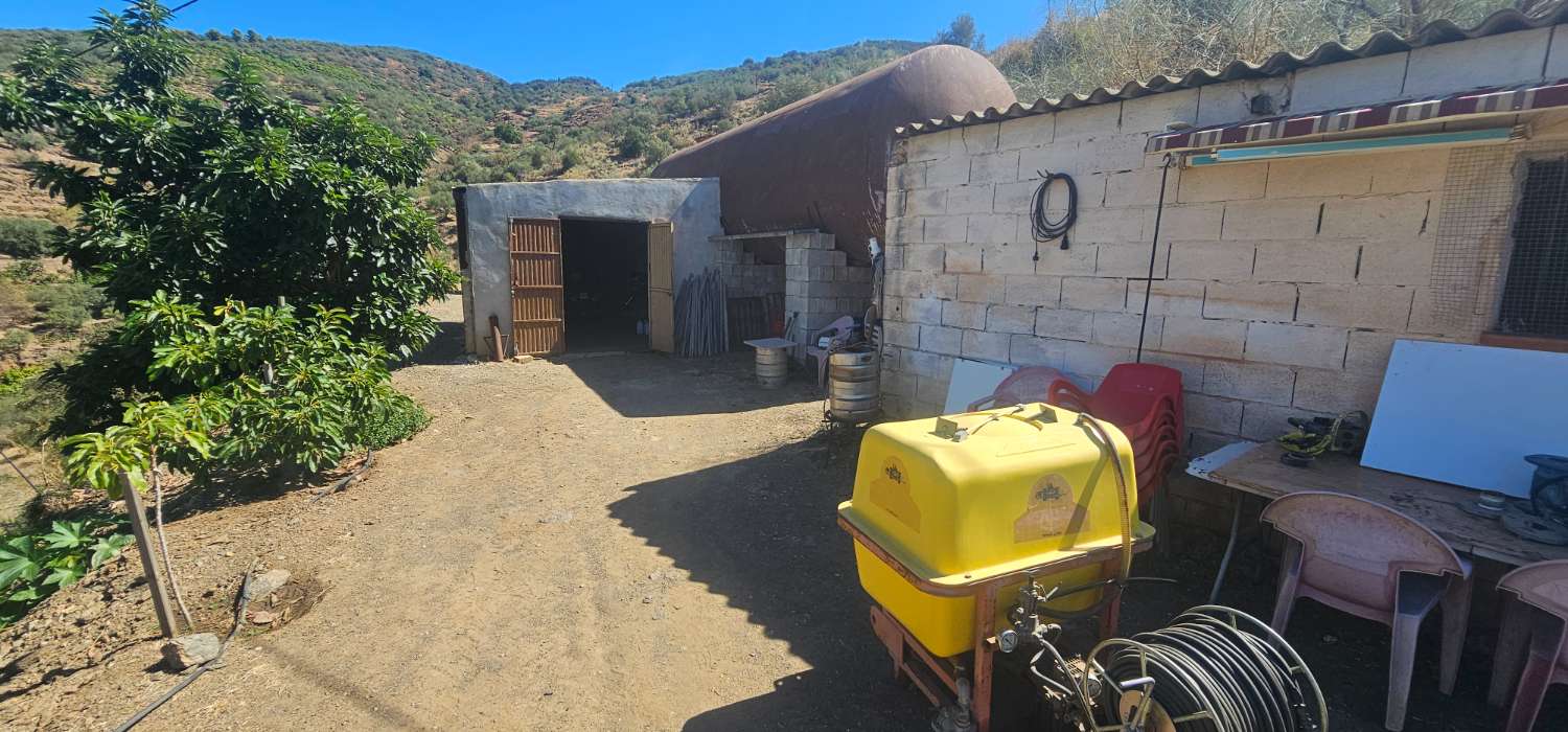 Finca en venta en Norte - Barrio del Pilar - El Reñidero (Vélez-Málaga)