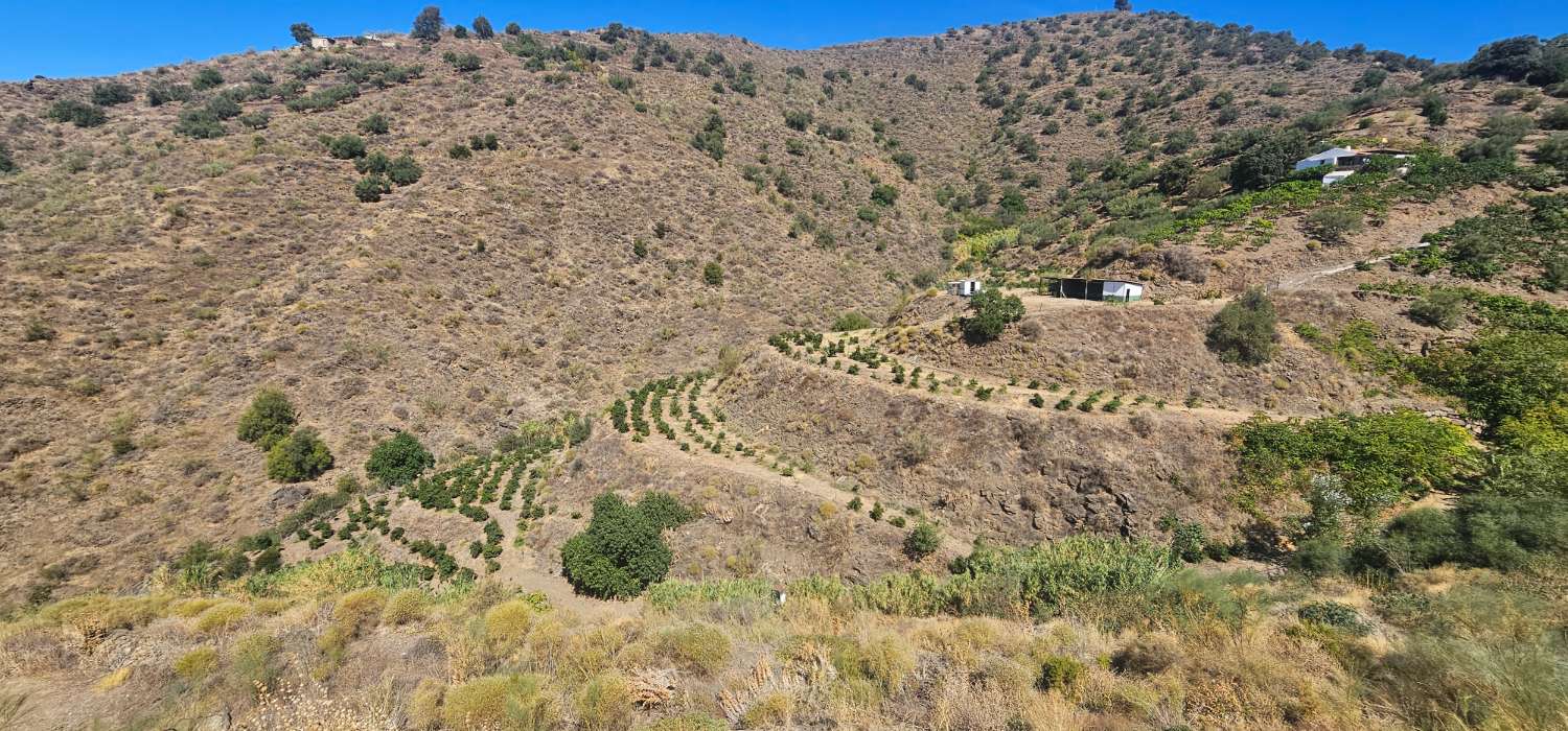 Finca en venta en Norte - Barrio del Pilar - El Reñidero (Vélez-Málaga)