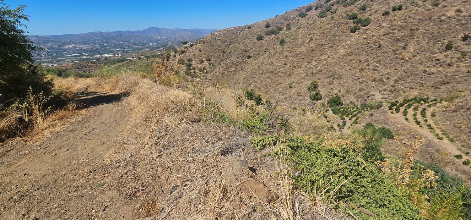 Finca en venta en Norte - Barrio del Pilar - El Reñidero (Vélez-Málaga)