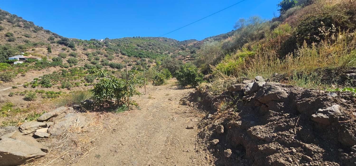 Finca en venta en Norte - Barrio del Pilar - El Reñidero (Vélez-Málaga)