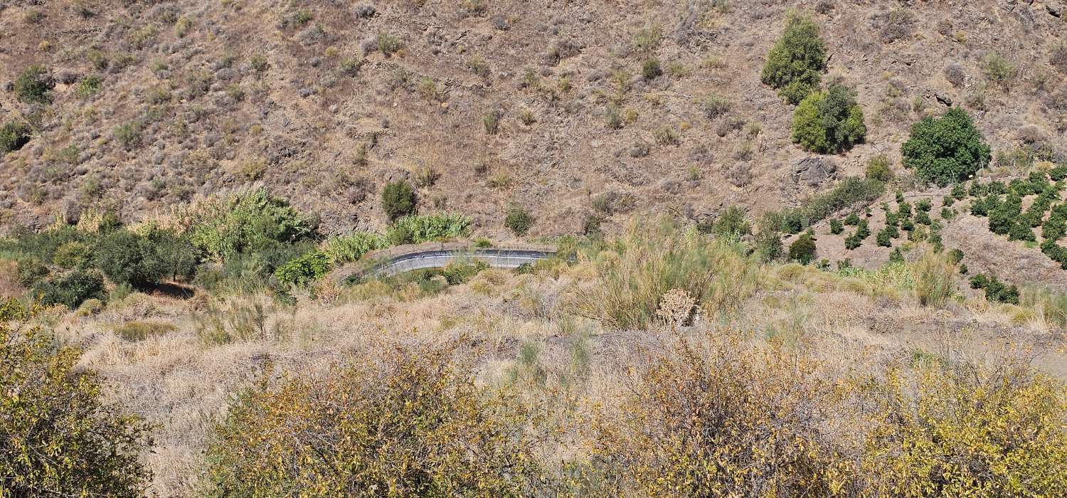 Finca en venta en Norte - Barrio del Pilar - El Reñidero (Vélez-Málaga)