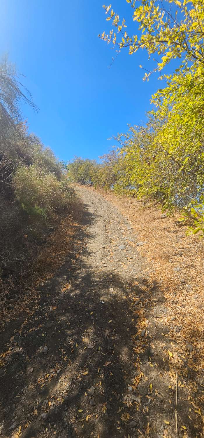 Finca en venta en Norte - Barrio del Pilar - El Reñidero (Vélez-Málaga)