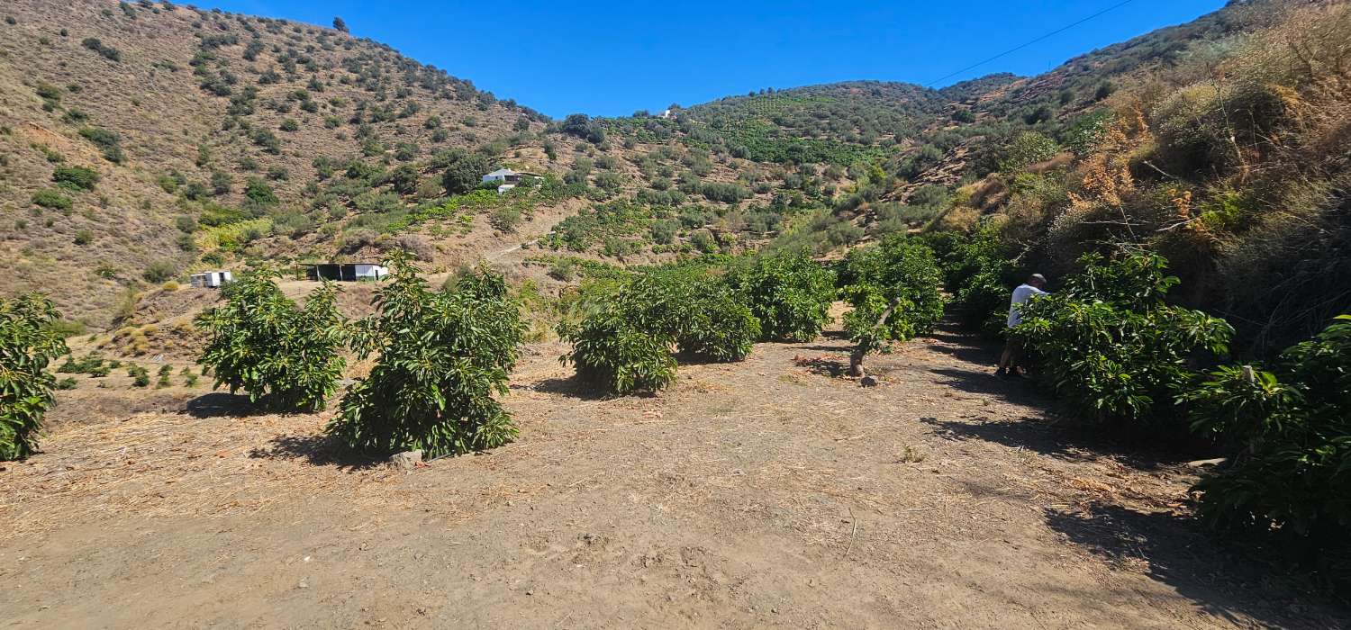 Finca en venta en Norte - Barrio del Pilar - El Reñidero (Vélez-Málaga)