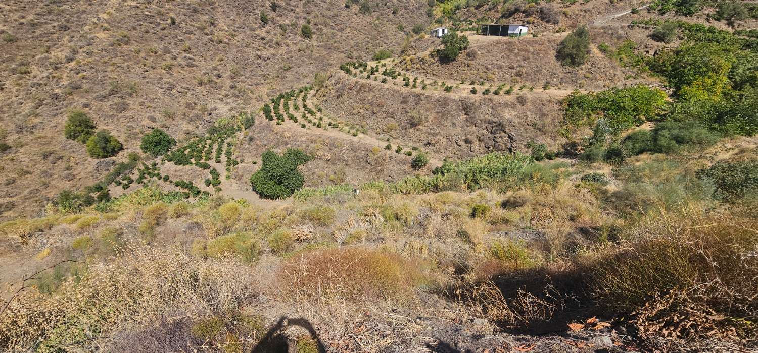 Finca en venta en Norte - Barrio del Pilar - El Reñidero (Vélez-Málaga)