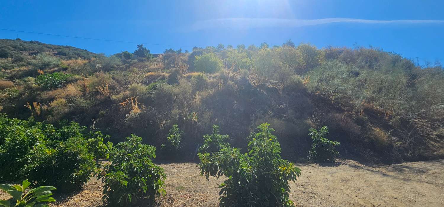 Finca en venta en Norte - Barrio del Pilar - El Reñidero (Vélez-Málaga)