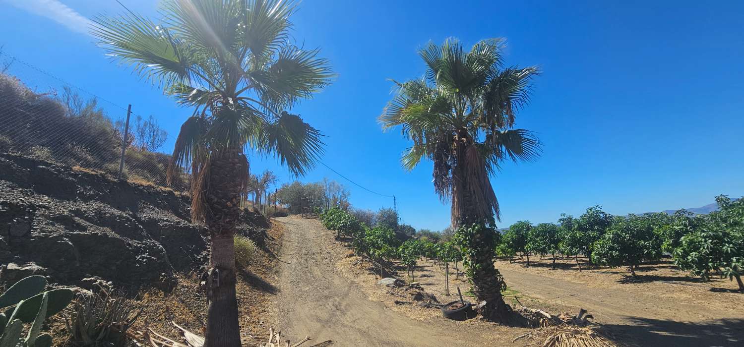 Finca en venta en Norte - Barrio del Pilar - El Reñidero (Vélez-Málaga)