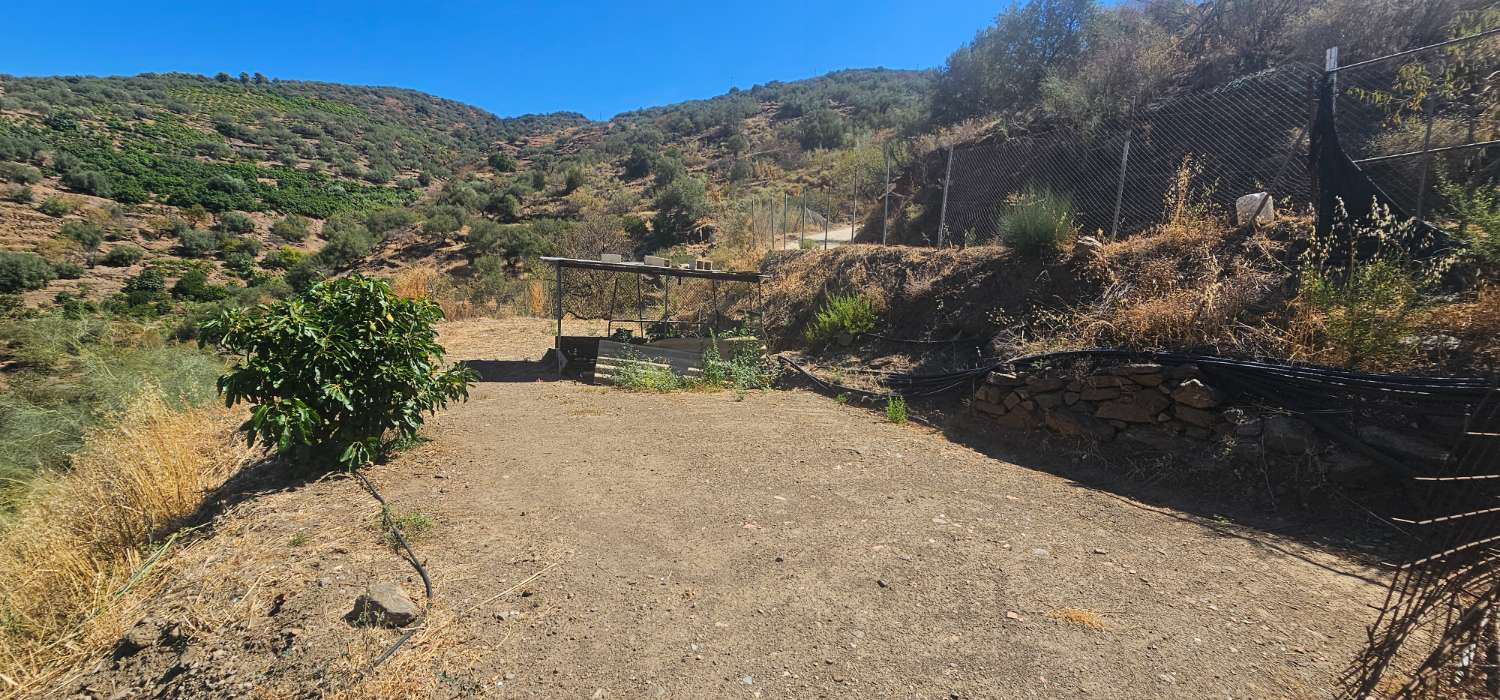 Finca en venta en Norte - Barrio del Pilar - El Reñidero (Vélez-Málaga)