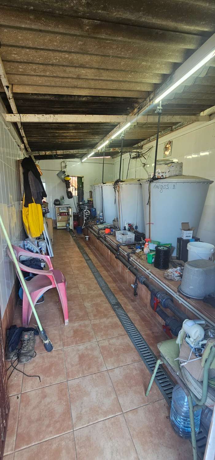 Finca en venta en Norte - Barrio del Pilar - El Reñidero (Vélez-Málaga)