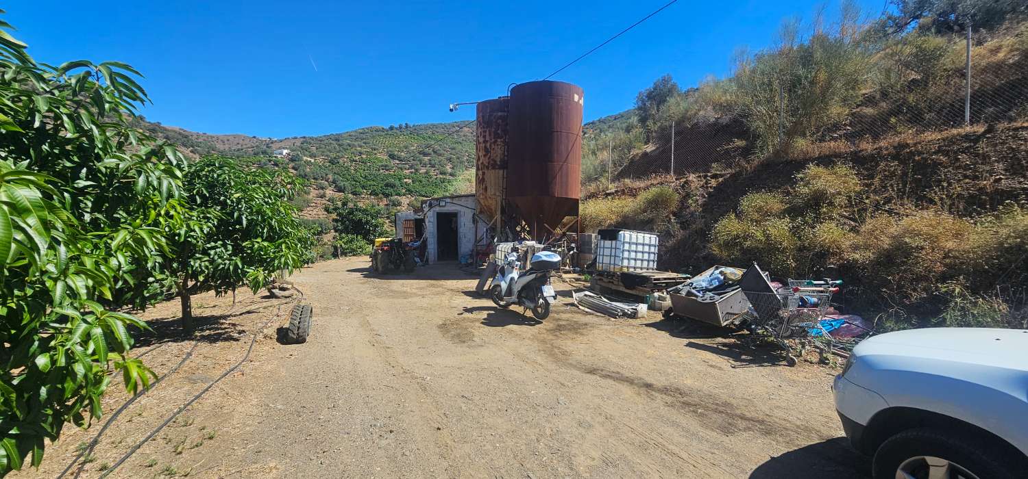 Finca en venta en Norte - Barrio del Pilar - El Reñidero (Vélez-Málaga)