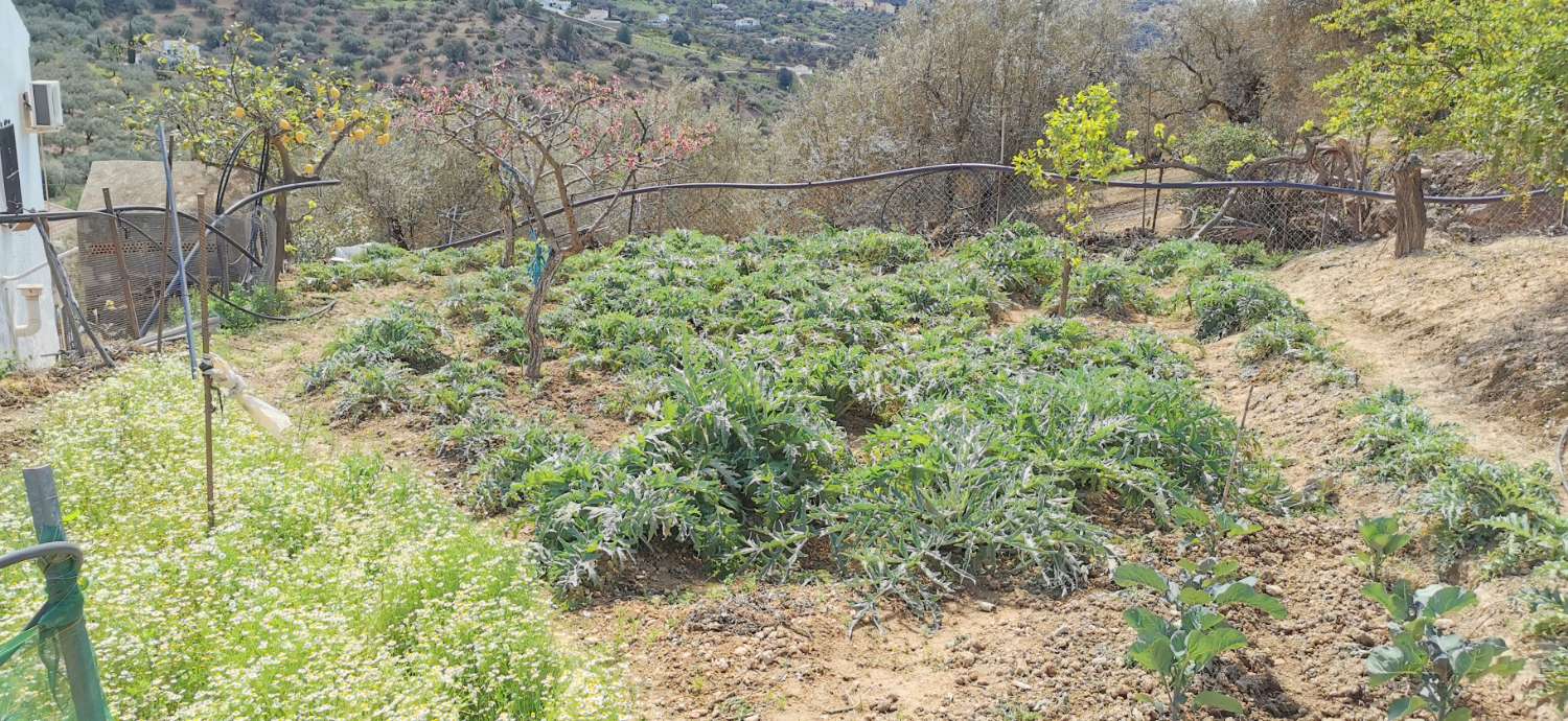 Etxea salgai in Alcaucín