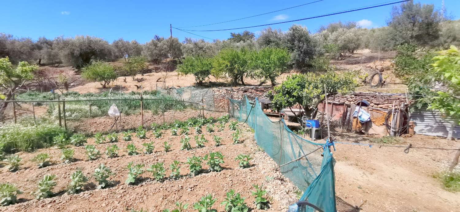 Casa en venta en Alcaucín