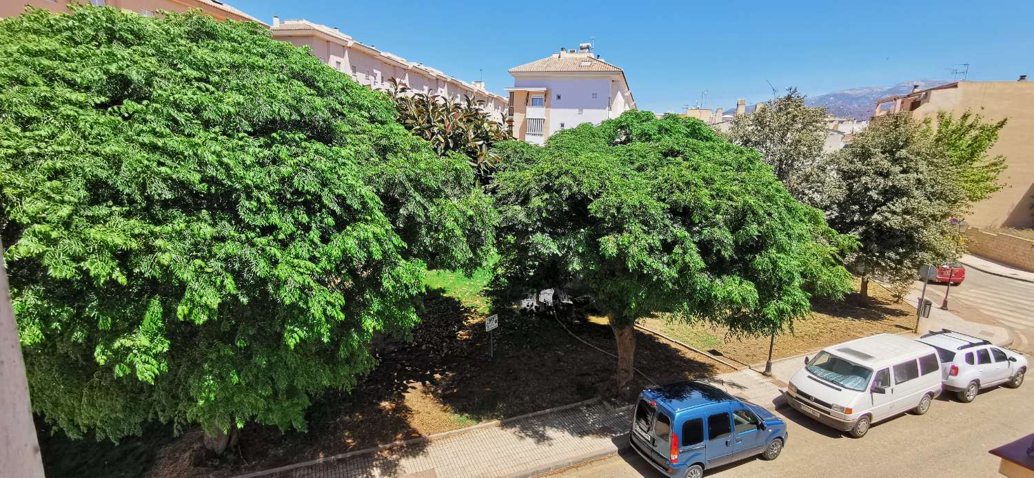 Huoneisto myynnissä Camino Viejo de Málaga (Vélez-Málaga)