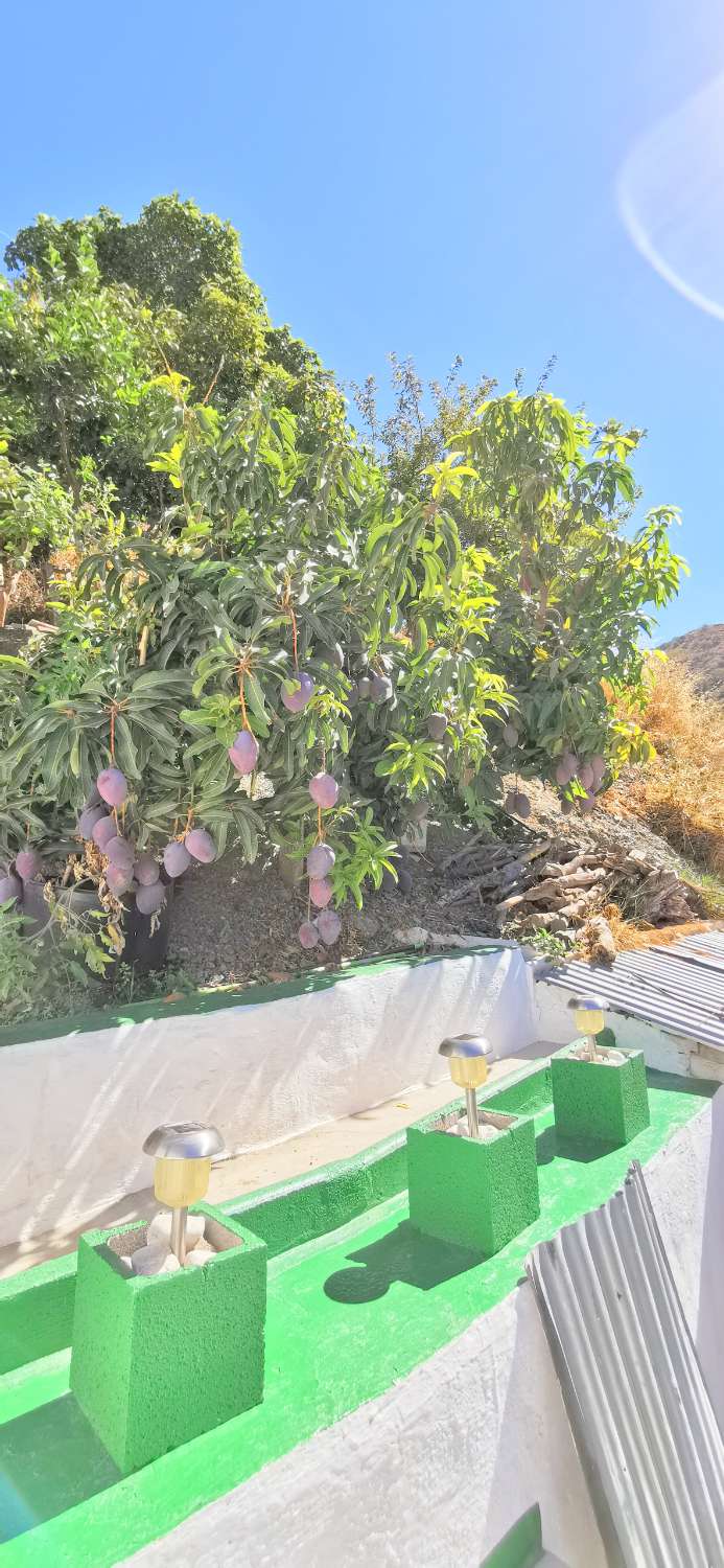 Casa en venta en Viñuela