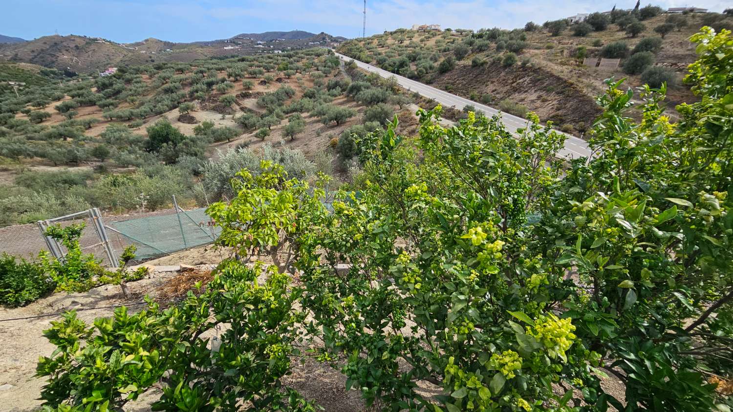 Txaleta salgai in Viñuela