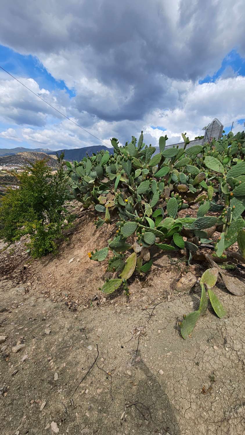 Hus till salu i Viñuela