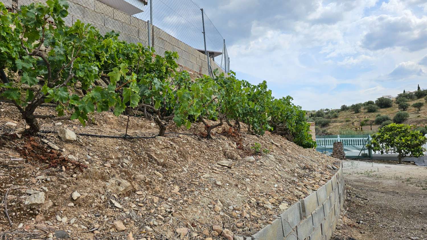 Chalet en venta en Viñuela