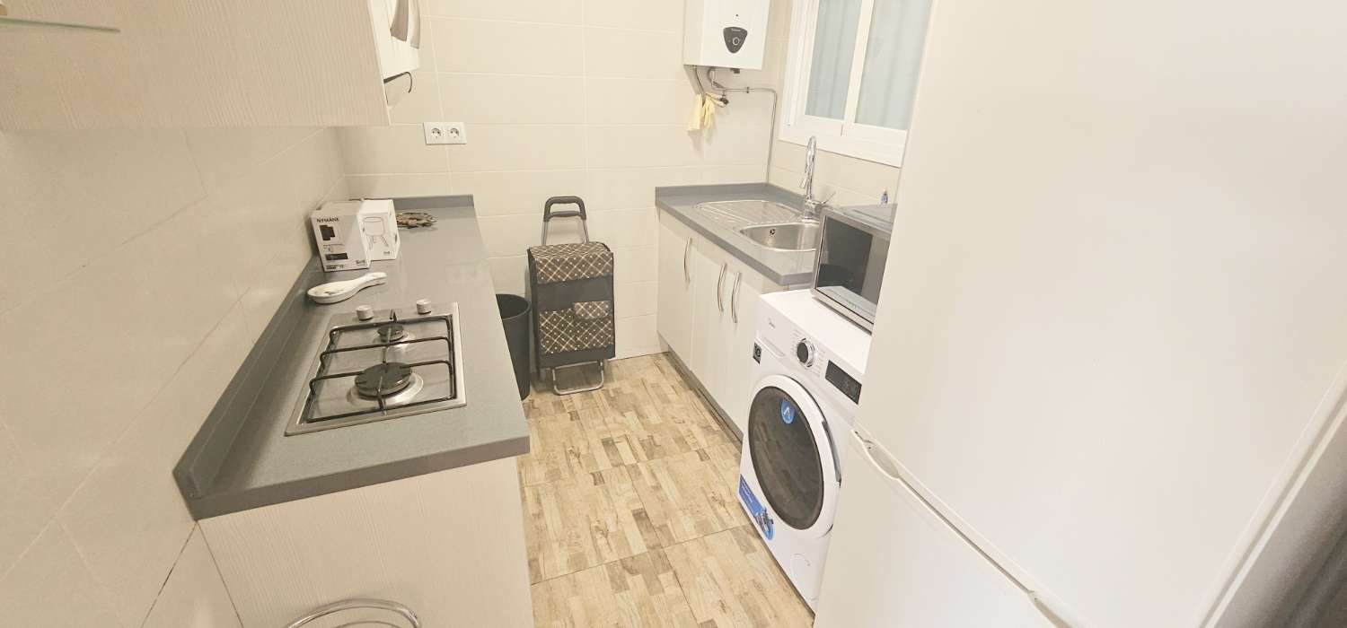 Piso en alquiler en Centro (Torre del Mar)