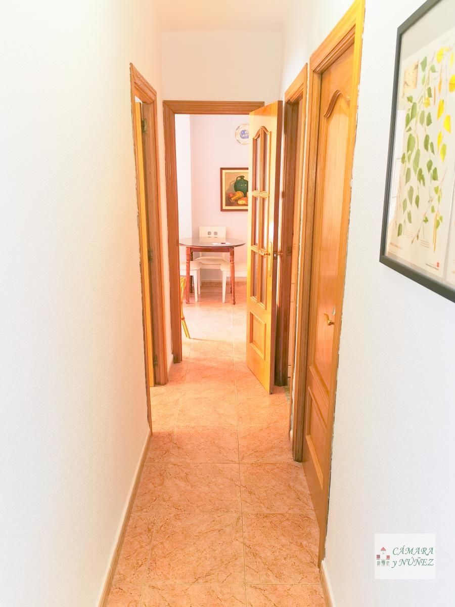 Flat for holidays in Centro (Torre del Mar)