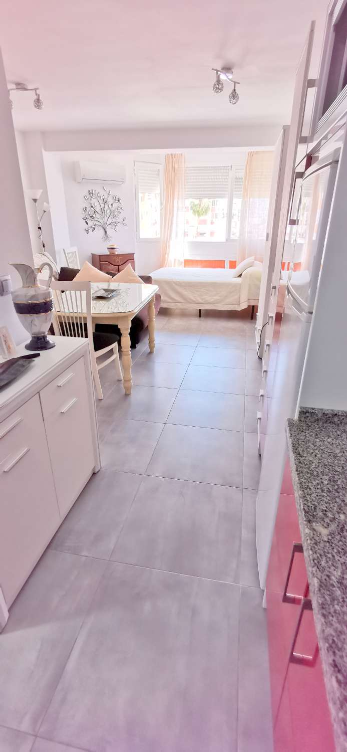 Estudio de vacaciones en Centro (Torre del Mar)