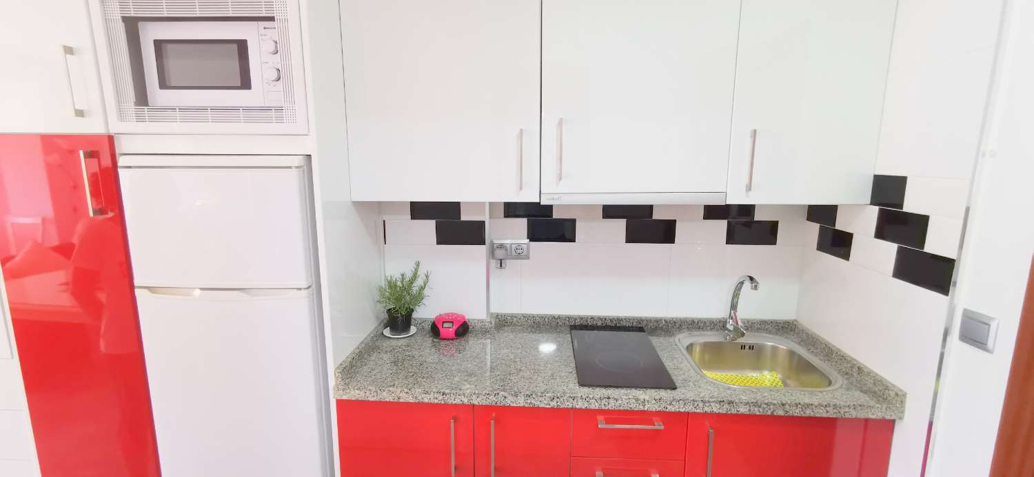 Estudio de vacaciones en Centro (Torre del Mar)