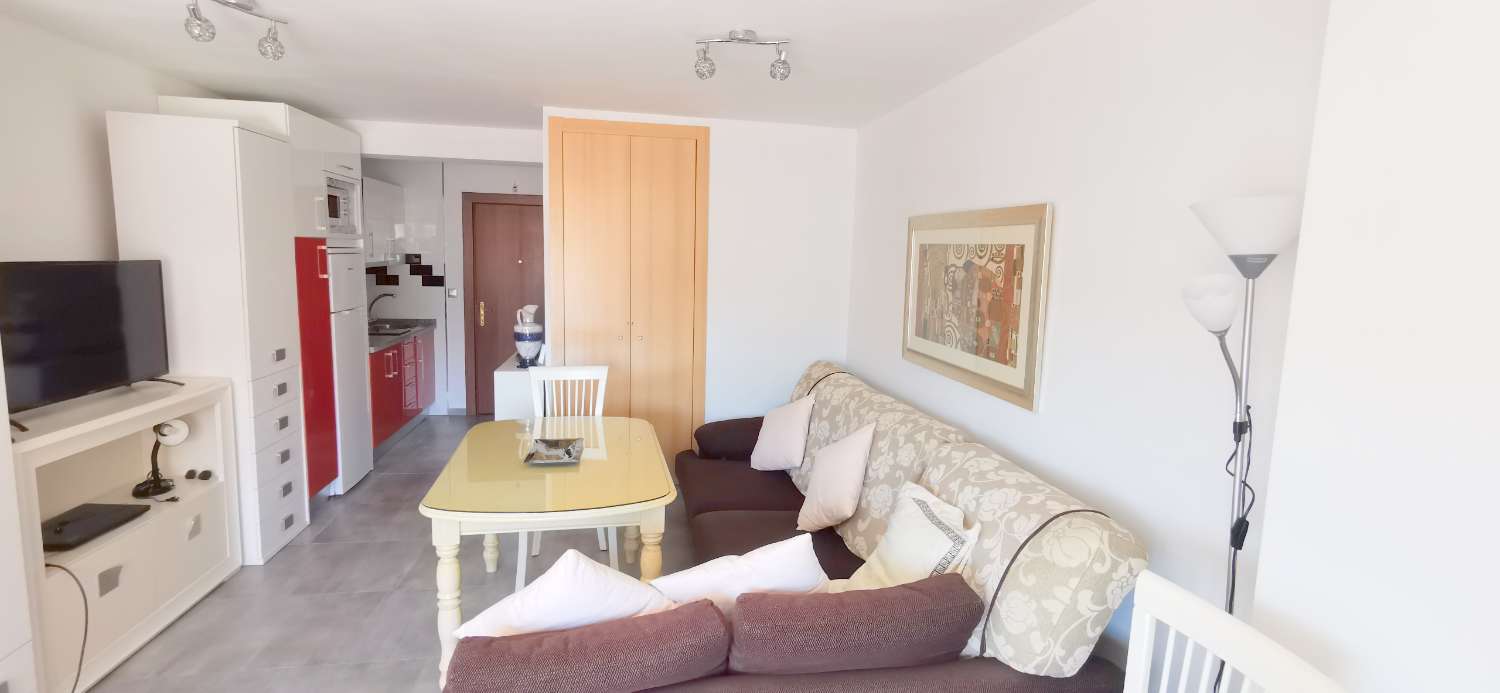 Estudio de vacaciones en Centro (Torre del Mar)