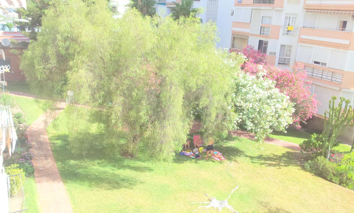 Estudio de vacaciones en Centro (Torre del Mar)