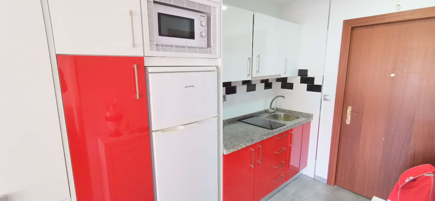 Estudio de vacaciones en Centro (Torre del Mar)
