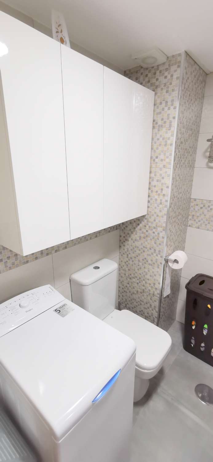 Estudio de vacaciones en Centro (Torre del Mar)
