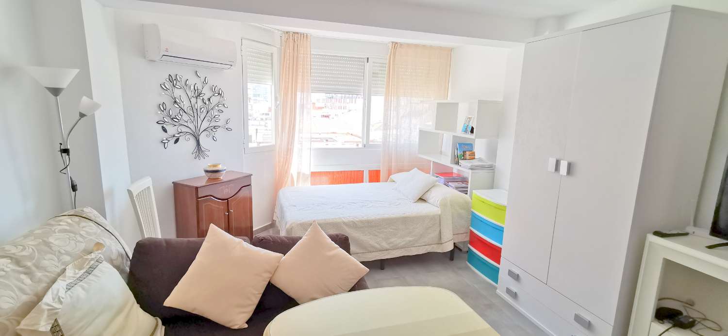 Estudio de vacaciones en Centro (Torre del Mar)